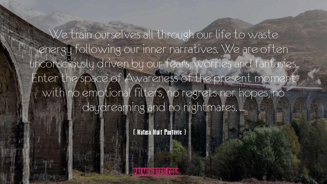 Mindfulness Training quotes by Natasa Nuit Pantovic