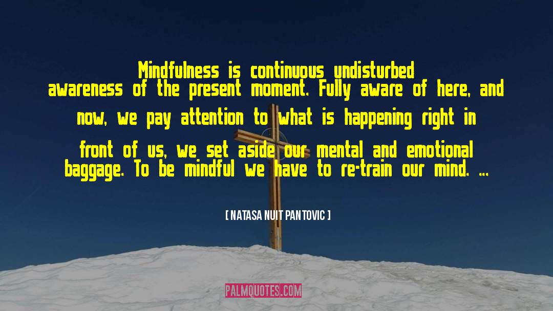 Mindfulness Training quotes by Natasa Nuit Pantovic