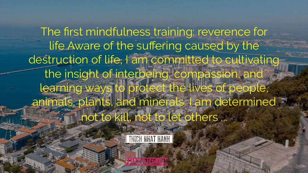 Mindfulness Training quotes by Thich Nhat Hanh