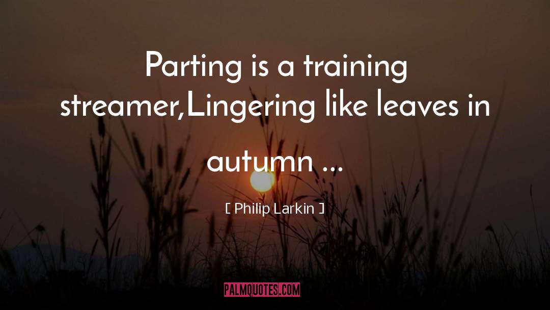 Mindfulness Training quotes by Philip Larkin