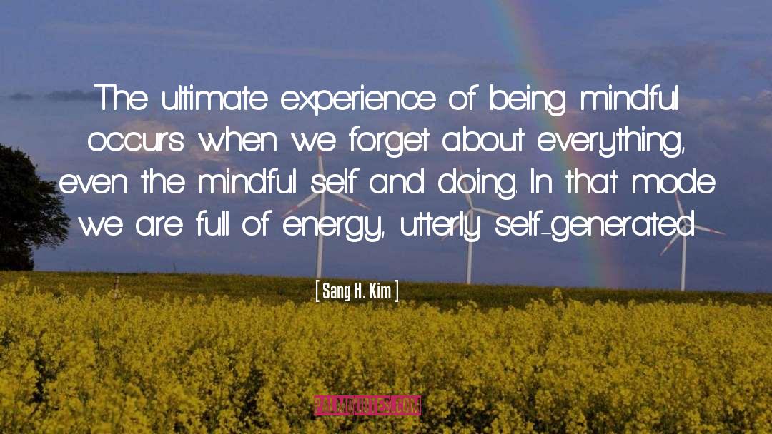 Mindlessness quotes by Sang H. Kim