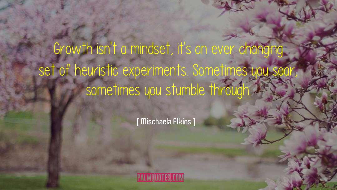 Mindset Training quotes by Mischaela Elkins