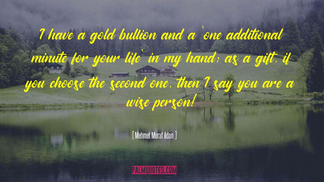 Mine Your Gold quotes by Mehmet Murat Ildan