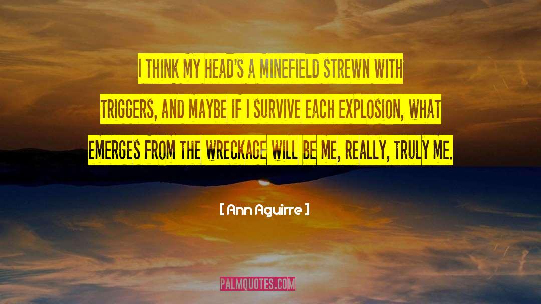 Minefield quotes by Ann Aguirre