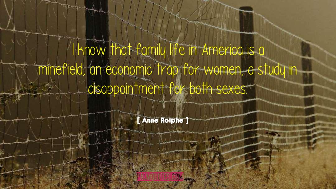Minefield quotes by Anne Roiphe