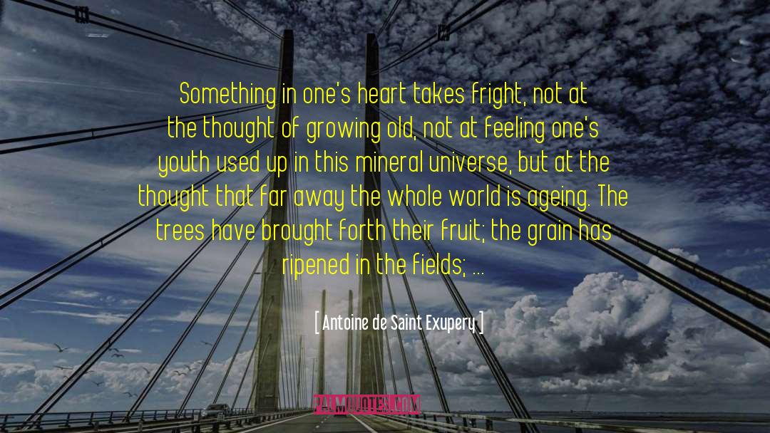 Mineral quotes by Antoine De Saint Exupery