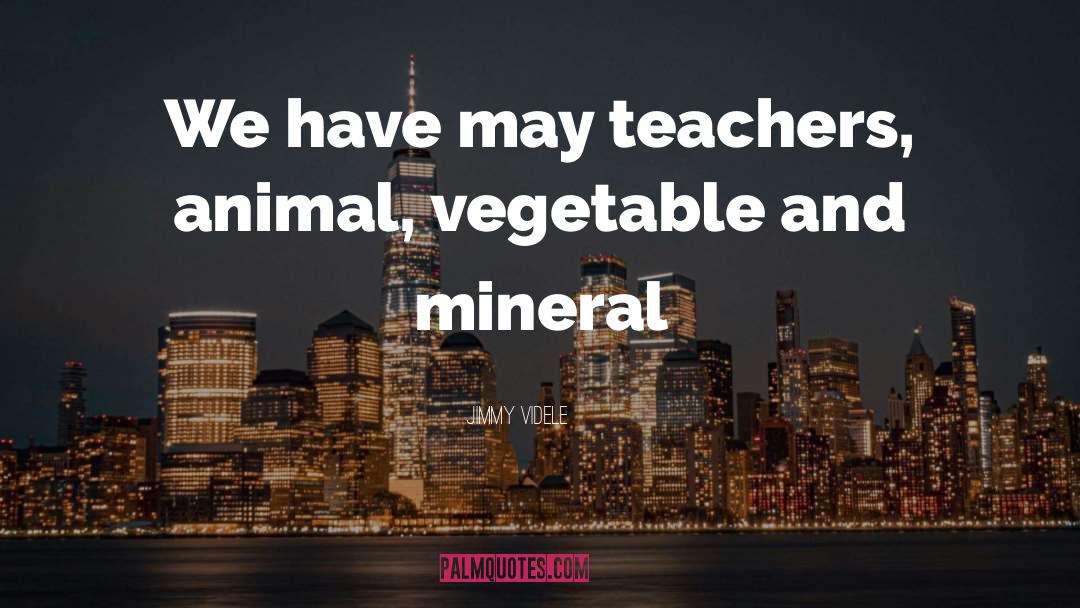 Mineral quotes by Jimmy Videle