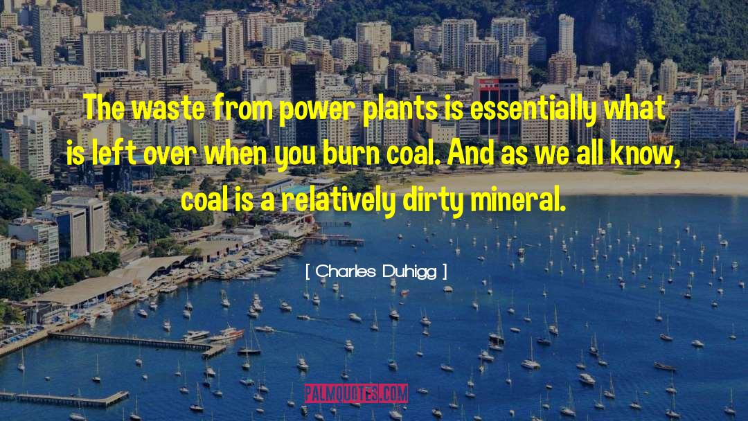 Mineral quotes by Charles Duhigg