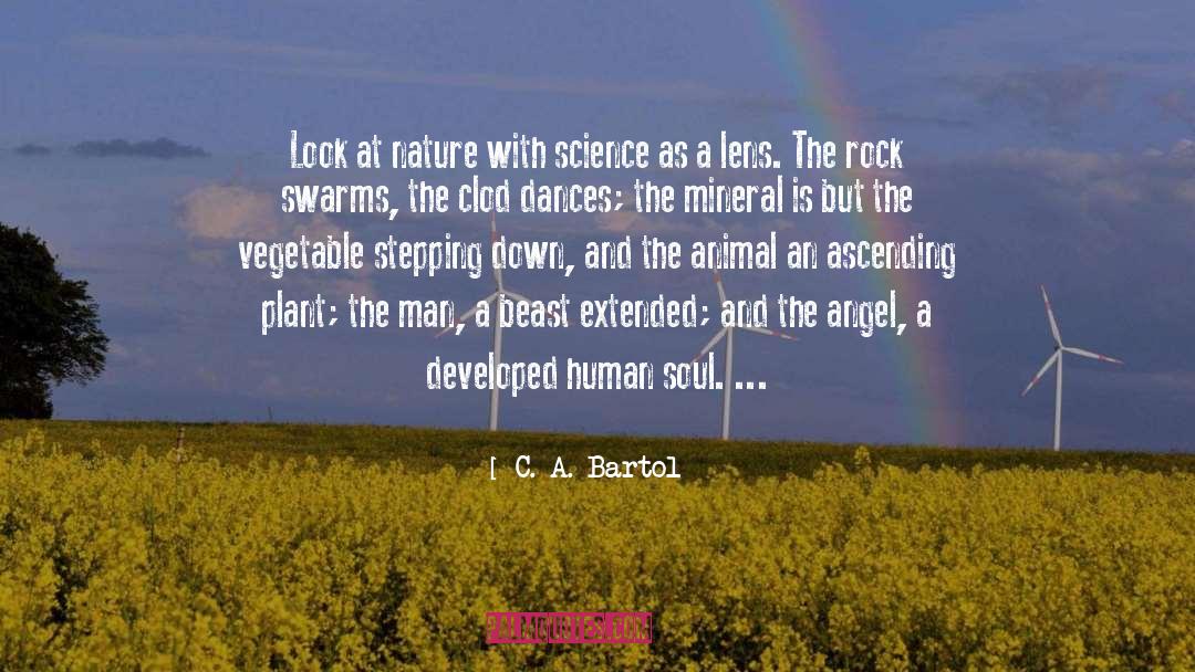 Mineral quotes by C. A. Bartol