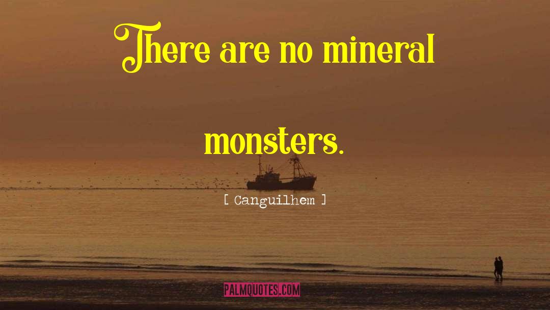 Mineral quotes by Canguilhem