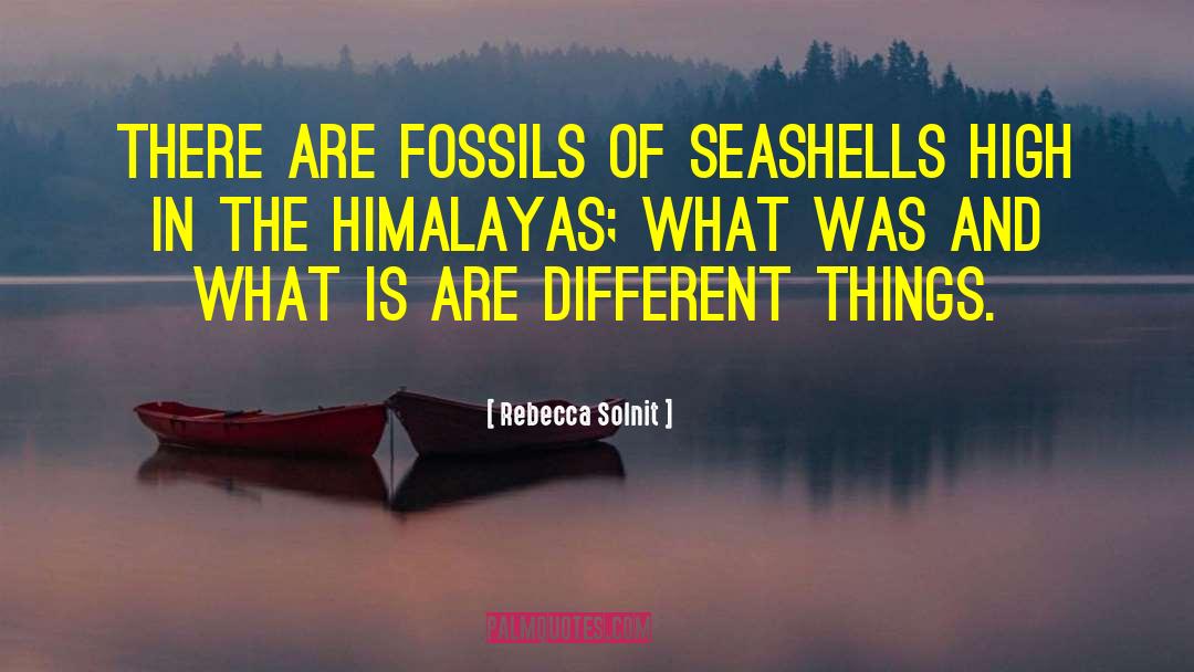 Mineralized Fossils quotes by Rebecca Solnit