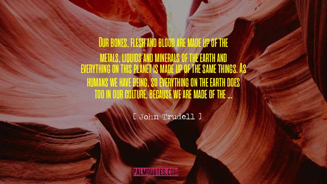 Minerals quotes by John Trudell