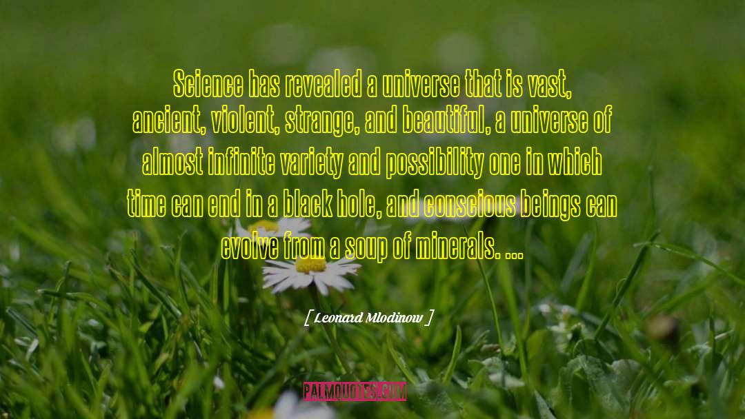 Minerals quotes by Leonard Mlodinow