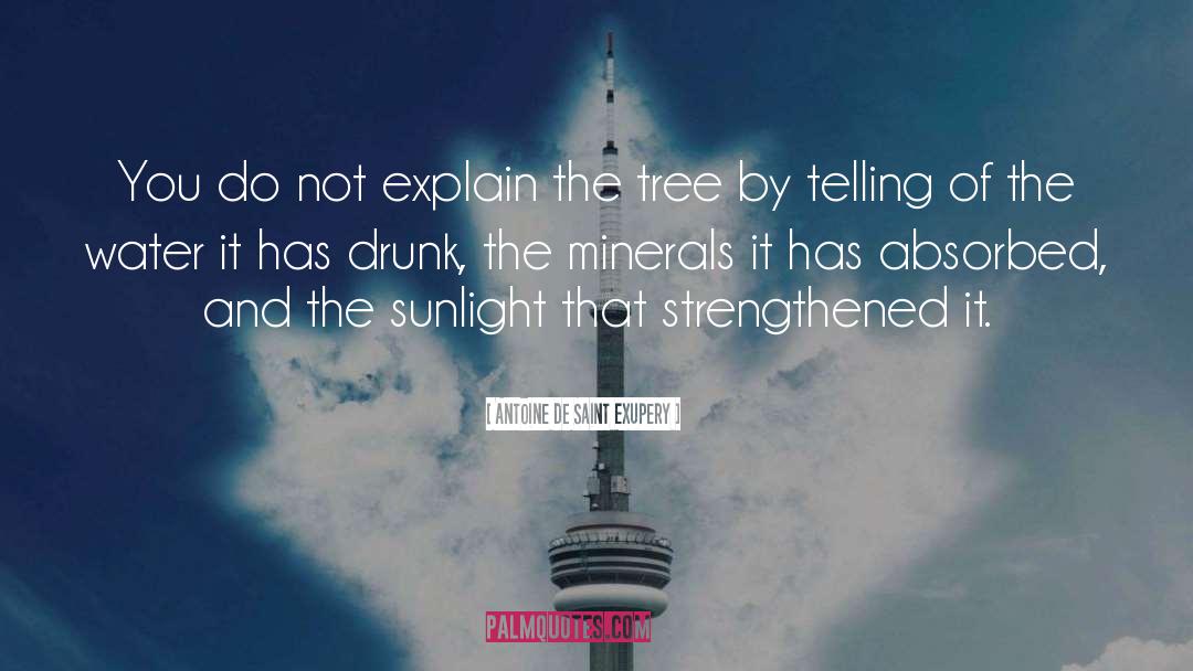 Minerals quotes by Antoine De Saint Exupery