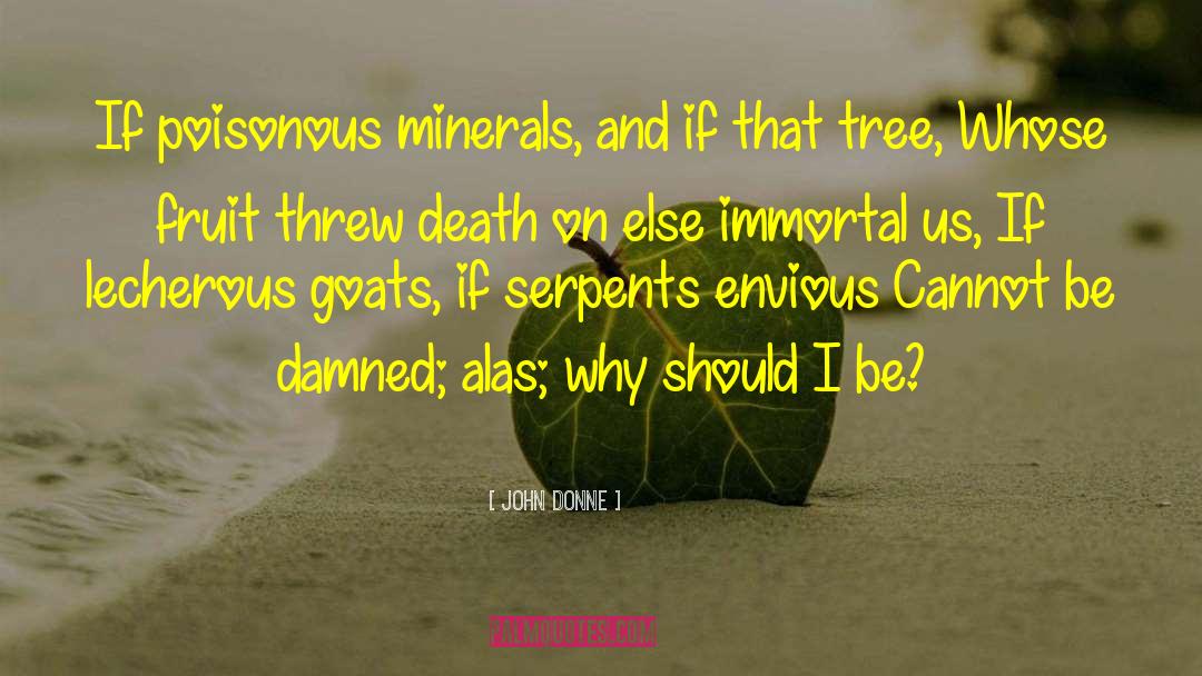 Minerals quotes by John Donne