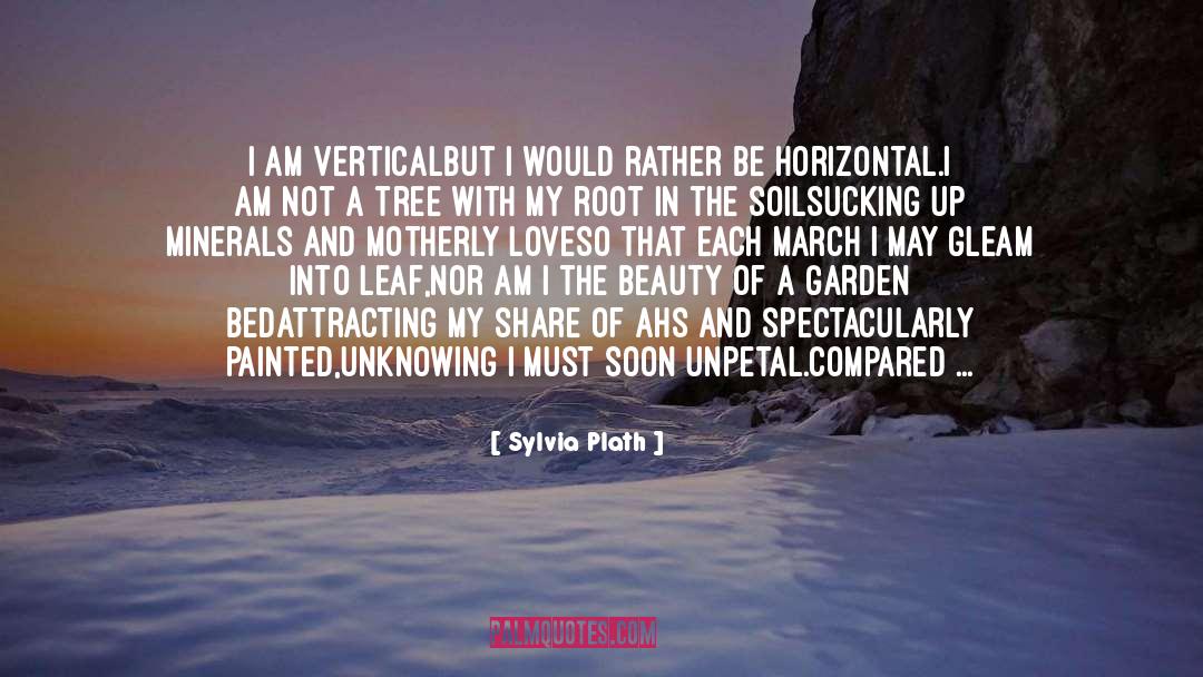 Minerals quotes by Sylvia Plath