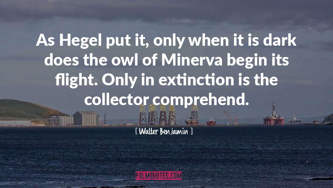 Minerva quotes by Walter Benjamin