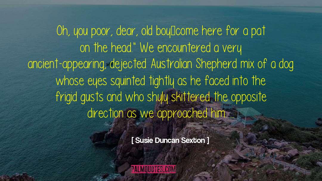 Miniature Australian Shepherd quotes by Susie Duncan Sexton