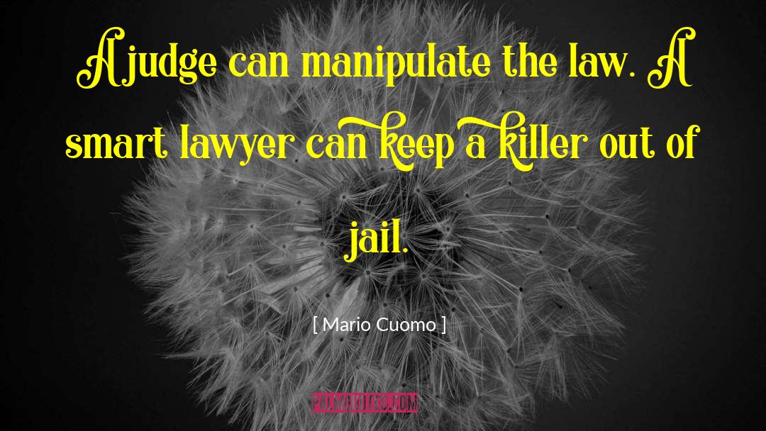 Miniature Killer quotes by Mario Cuomo
