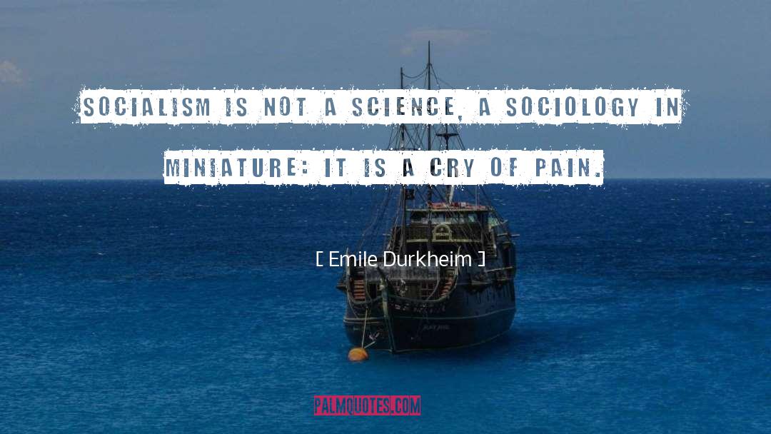 Miniatures quotes by Emile Durkheim