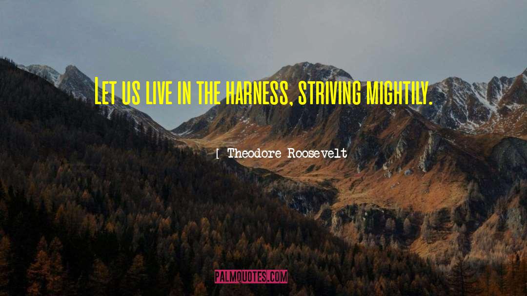 Minimal Effort quotes by Theodore Roosevelt