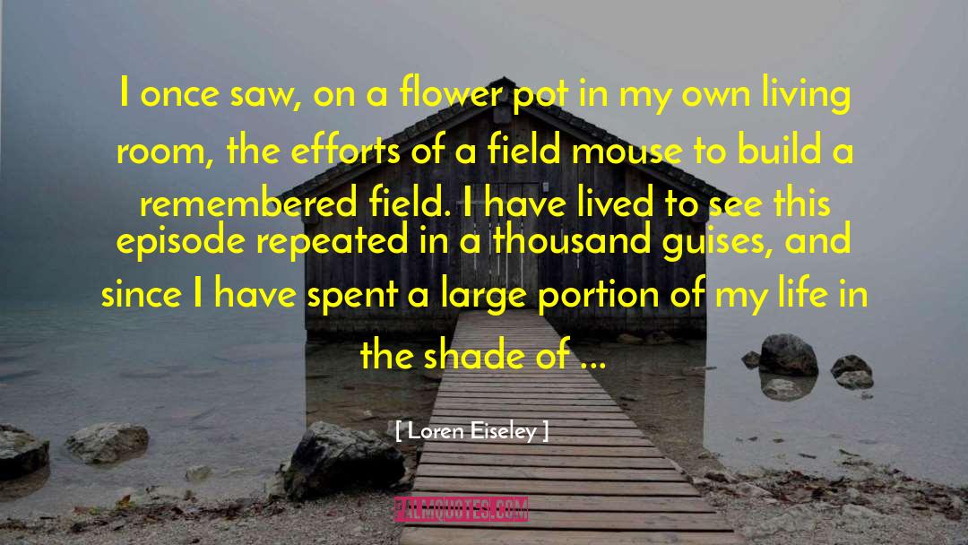 Minimal Effort quotes by Loren Eiseley