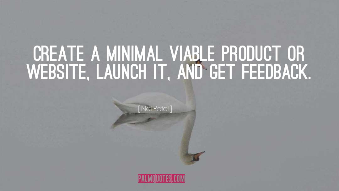 Minimum Viable Product quotes by Neil Patel