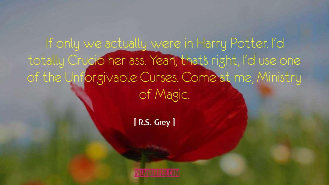 Ministry Of Magic quotes by R.S. Grey