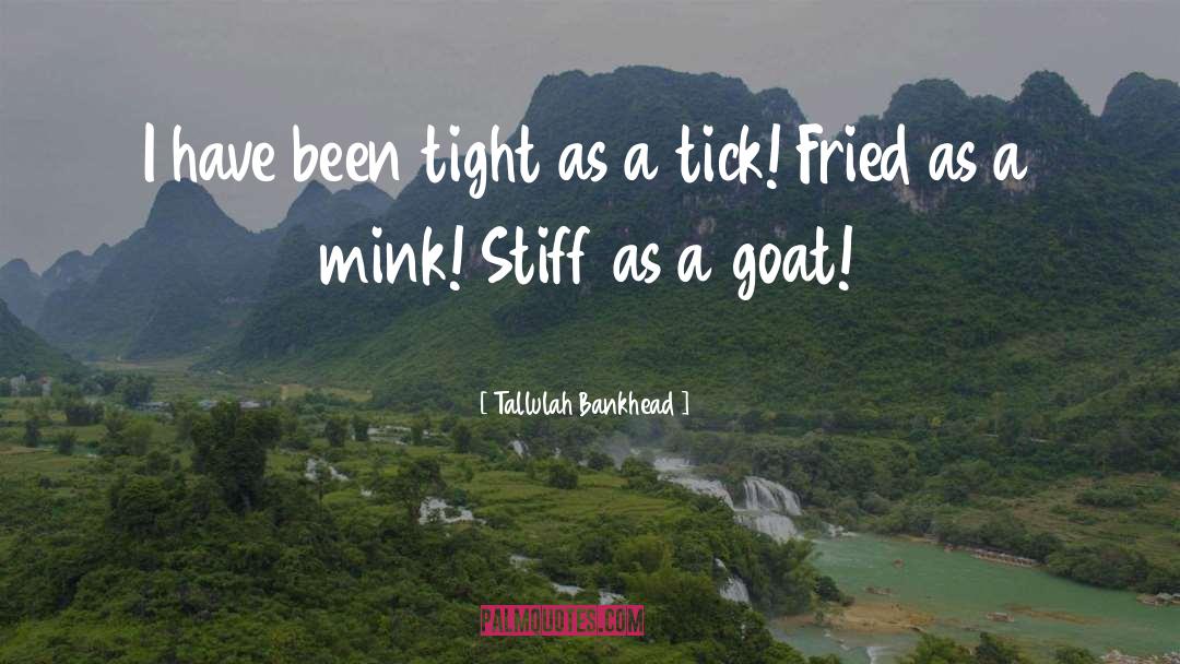 Mink quotes by Tallulah Bankhead