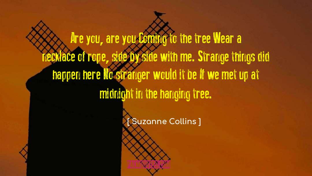 Minnaloushe Necklace quotes by Suzanne Collins