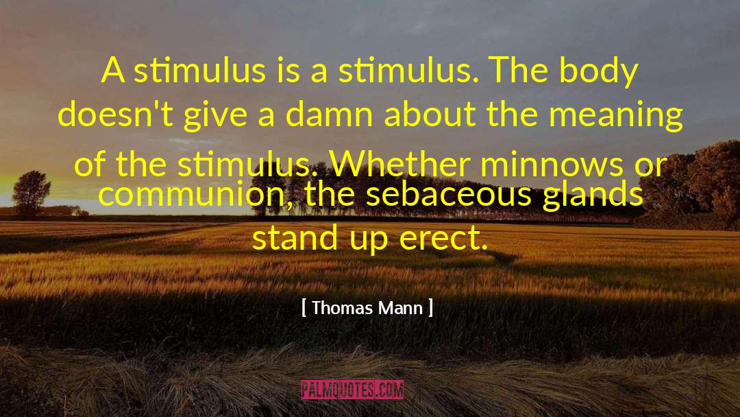 Minnows quotes by Thomas Mann