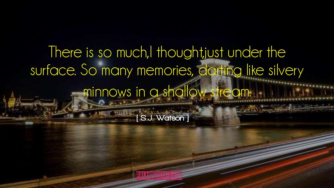 Minnows quotes by S.J. Watson