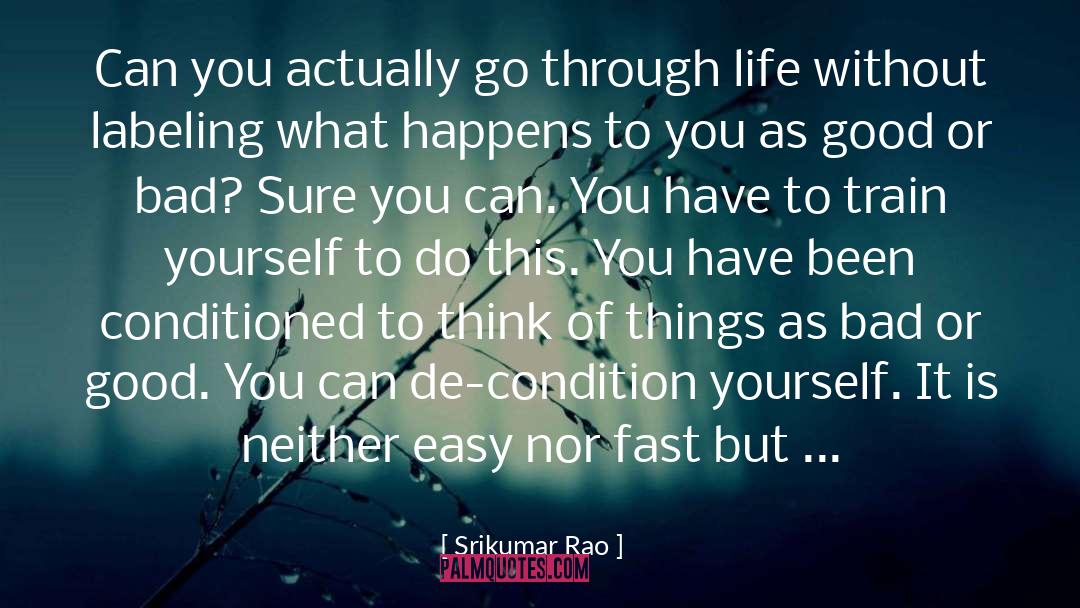 Minor Things quotes by Srikumar Rao