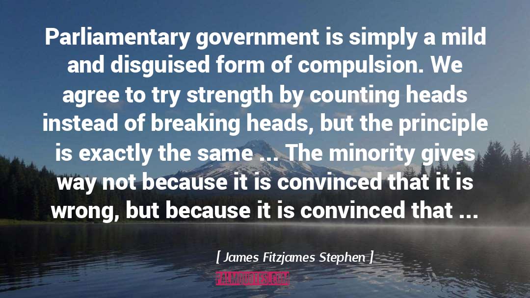 Minority Government quotes by James Fitzjames Stephen
