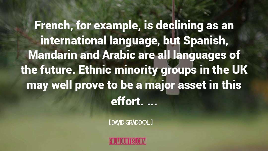 Minority Groups quotes by David Graddol