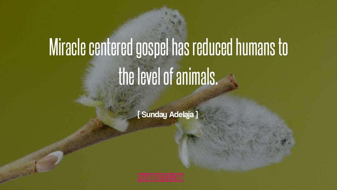 Miracle Centered Gospel quotes by Sunday Adelaja