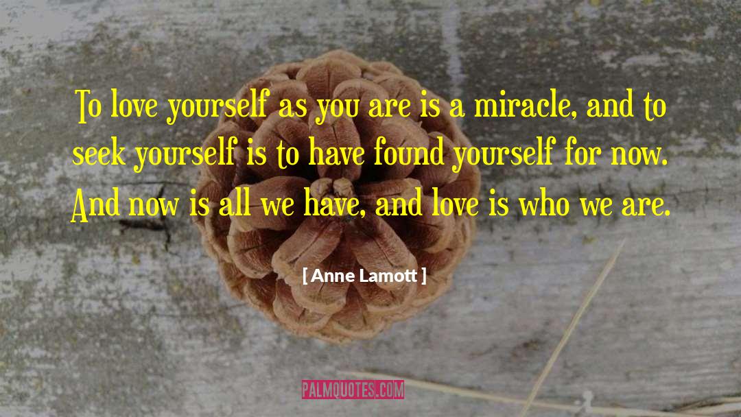 Miracle Diet quotes by Anne Lamott