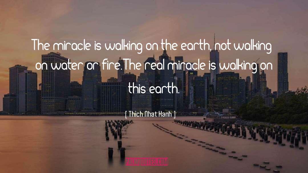 Miracle Mindset quotes by Thich Nhat Hanh