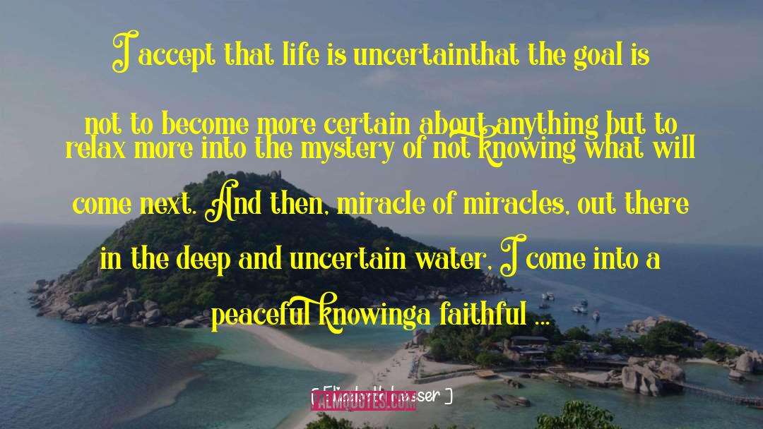 Miracle Of Miracles quotes by Elizabeth Lesser