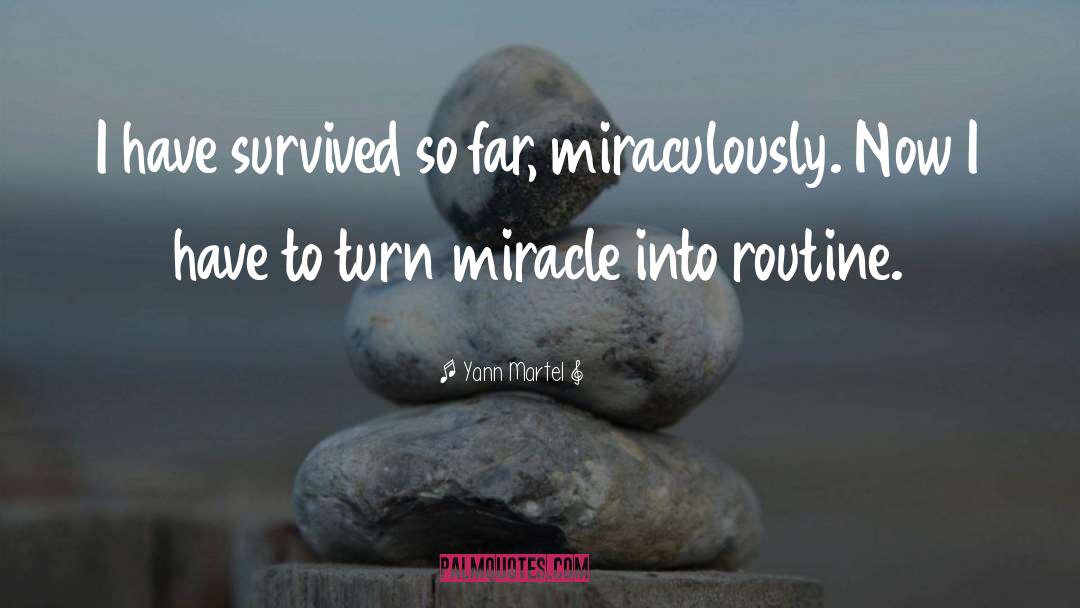 Miracle quotes by Yann Martel