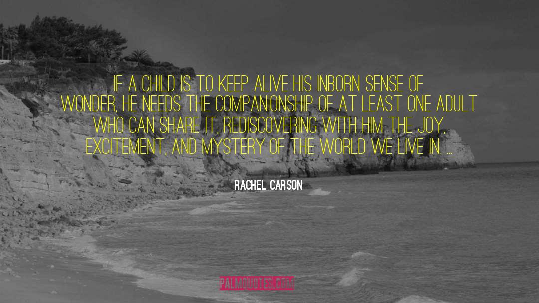 Miracles And Mystery quotes by Rachel Carson