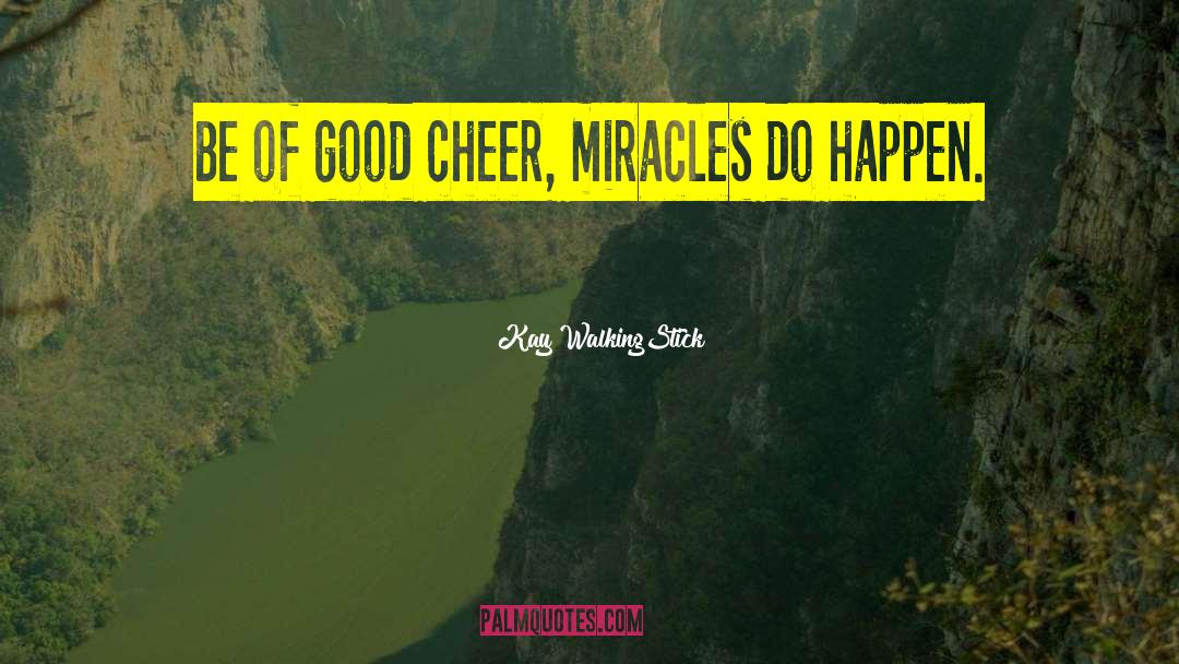 Miracles Do Happen quotes by Kay WalkingStick