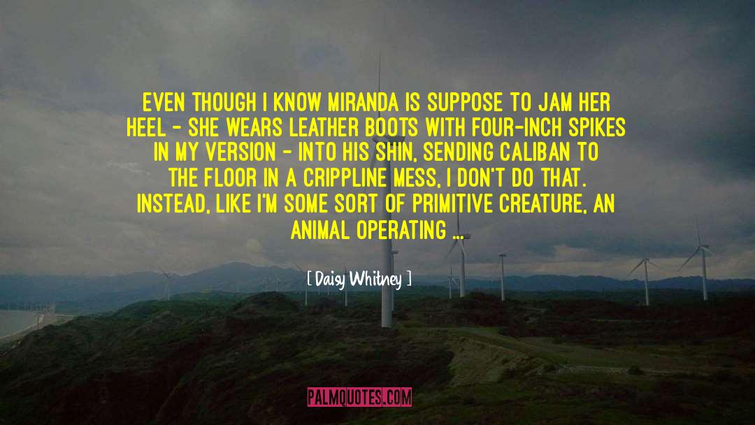 Miranda Cheever quotes by Daisy Whitney