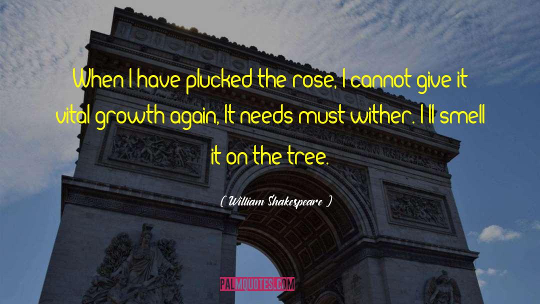 Miraval Rose quotes by William Shakespeare