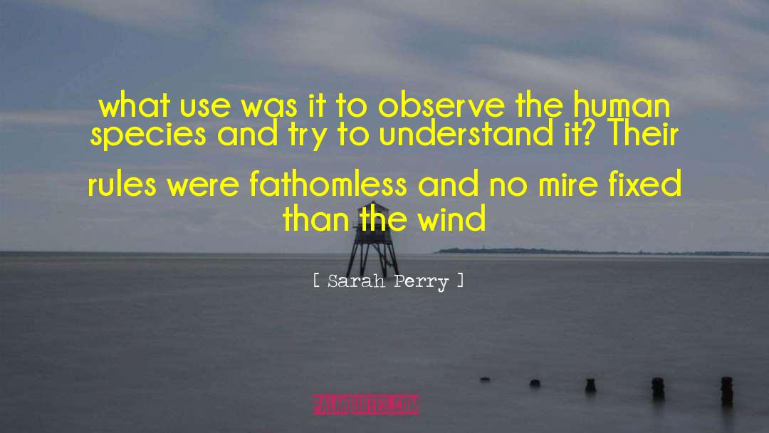 Mire quotes by Sarah Perry