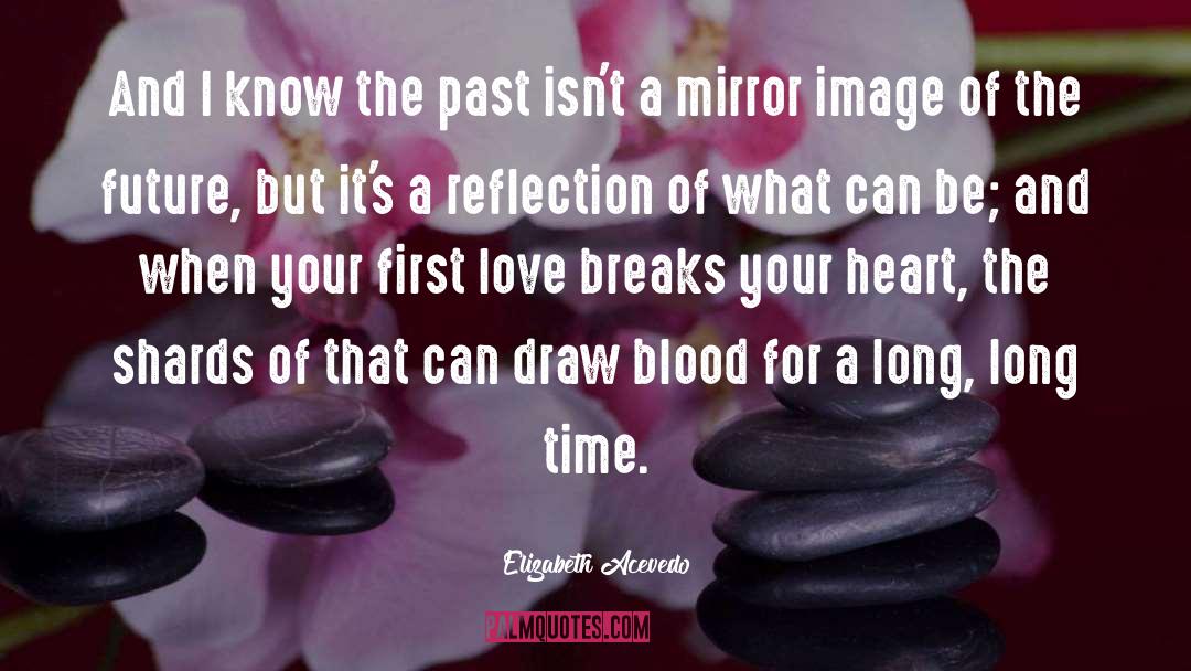 Mirror Image quotes by Elizabeth Acevedo