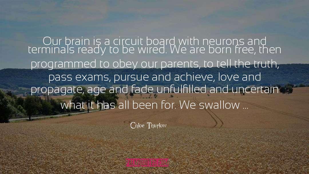 Mirror Neurons quotes by Chloe Thurlow