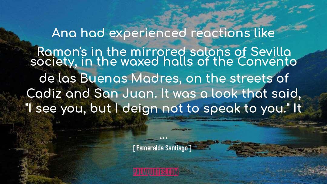 Mirrored quotes by Esmeralda Santiago