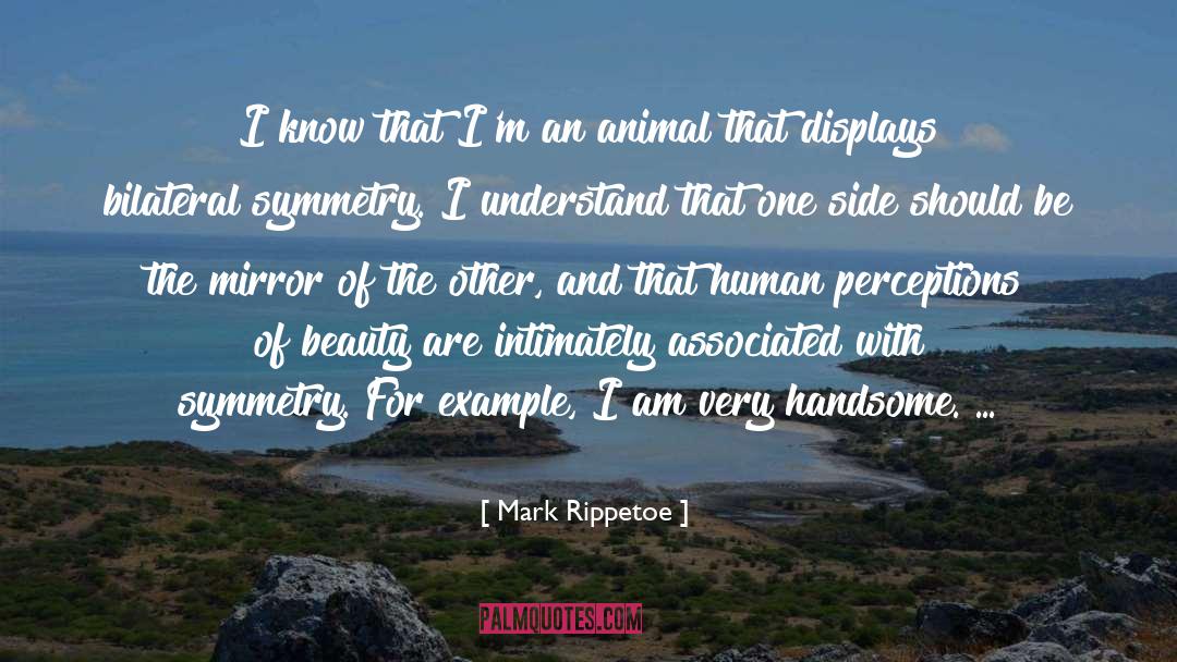 Mirrors quotes by Mark Rippetoe