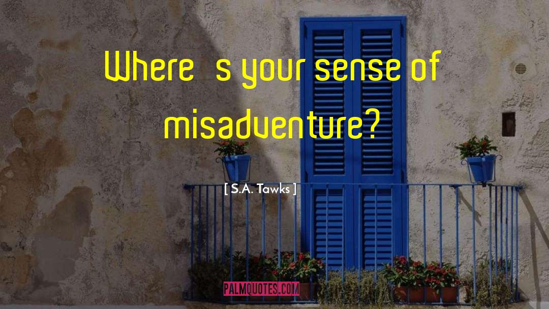 Misadventure quotes by S.A. Tawks